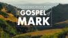 Mark 2:1-17 – Good Friends